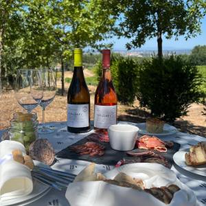 Dão Wine Picnic Experience in Nelas