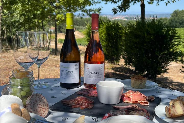 Dão Wine Picnic Experience in Nelas