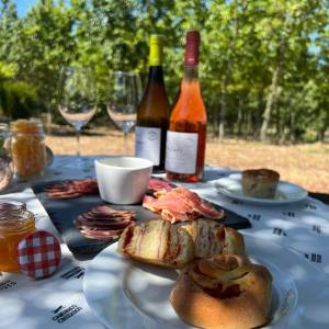 Dão Wine Picnic Experience in Nelas
