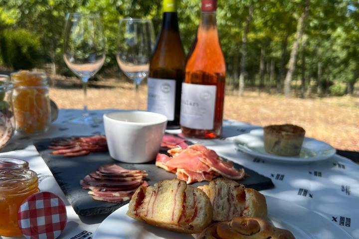 Dão Wine Picnic Experience in Nelas