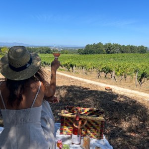 Dão Wine Picnic Experience in Nelas