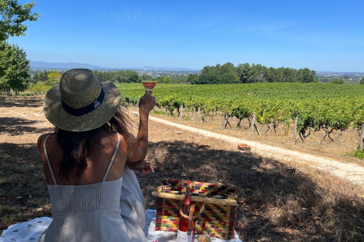 Dão Wine Picnic Experience in Nelas