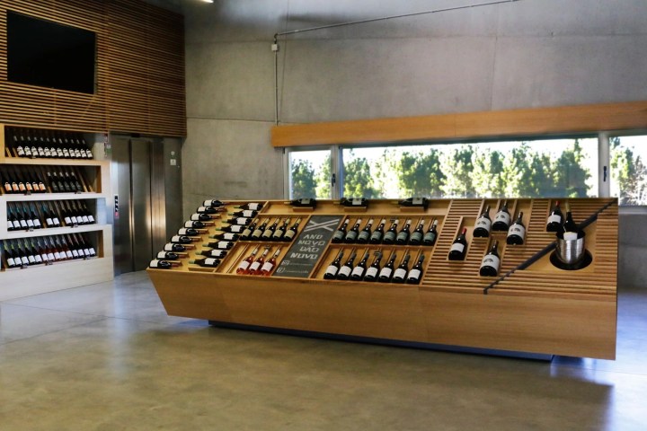 Nelas wine Tour