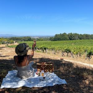 Nelas wine Tour and picnic