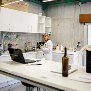 Winemaking Experience in the Dão - Blend & Bottle Your Own Wine