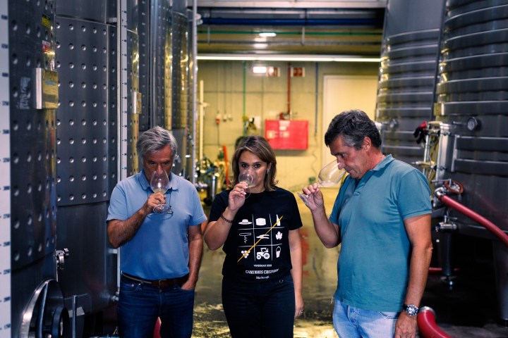 Winemaking Experience in the Dão - Blend & Bottle Your Own Wine