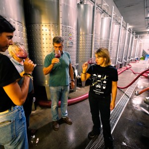 Winemaking Experience in the Dão - Blend & Bottle Your Own Wine