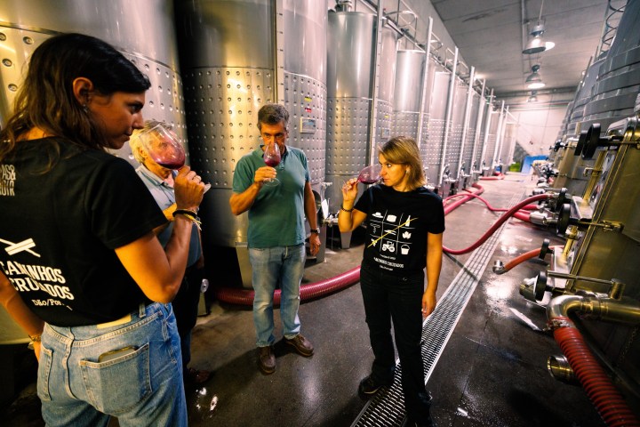 Winemaking Experience in the Dão - Blend & Bottle Your Own Wine