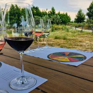 Pedypaper wine tour