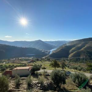 Sunny landscape view with mountains, vineyard terraces, and a river in a valley.