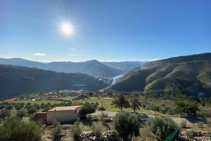 Sunny landscape view with mountains, vineyard terraces, and a river in a valley.