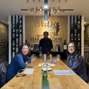 Wine pairing lunch in Douro Valley vineyard estate