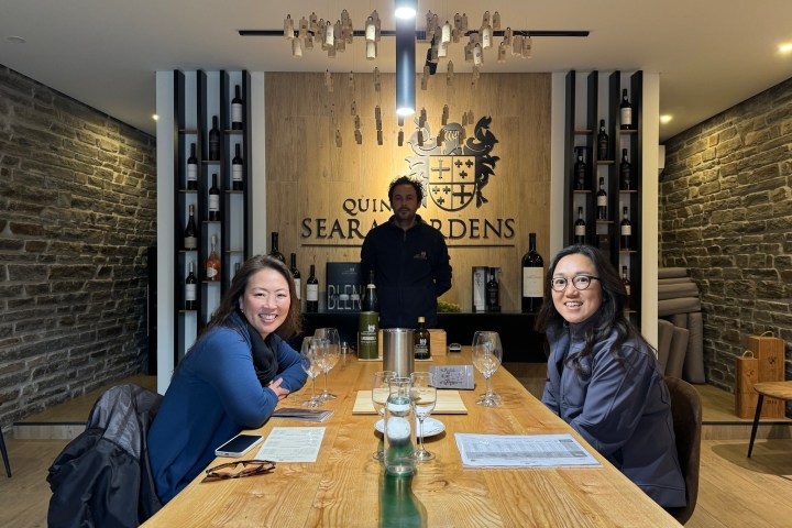 Wine pairing lunch in Douro Valley vineyard estate