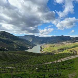 Pinhão Douro River cruise during wine tour from Porto