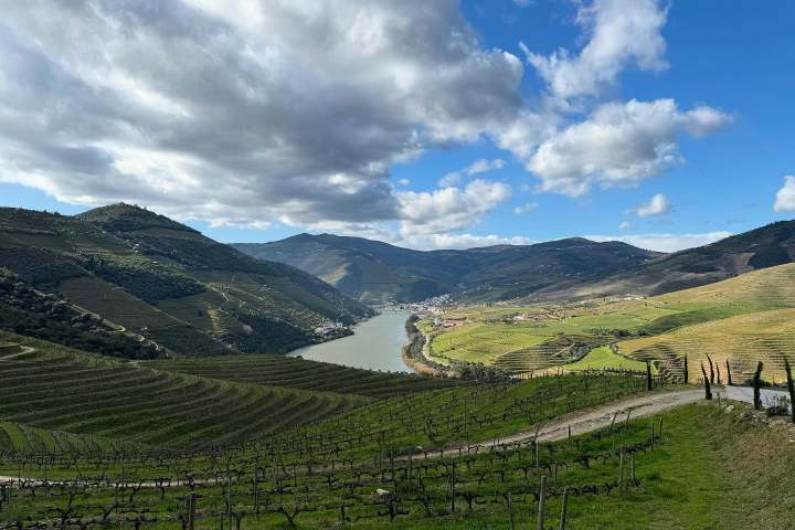 Pinhão Douro River cruise during wine tour from Porto