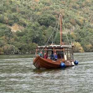 Panoramic vineyard landscape seen during the cruise in the Douro River.