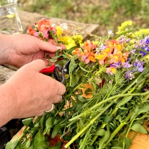Organic flower farm in Monchique Algarve with hills and countryside views