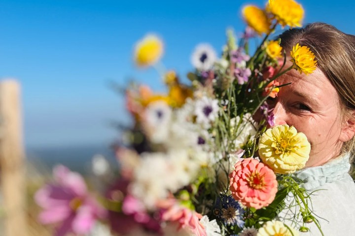 Algarve countryside flower farm near Monchique mountains