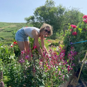 Visitor picking fresh flowers during a flower picking experience in Algarve