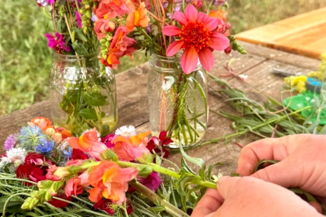Seasonal flowers growing organically on an Algarve flower farm