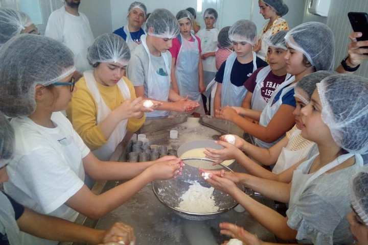 Fresh goat cheese workshop in a traditional Portuguese dairy