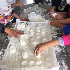 Hands-on cheese making experience after shepherd walk
