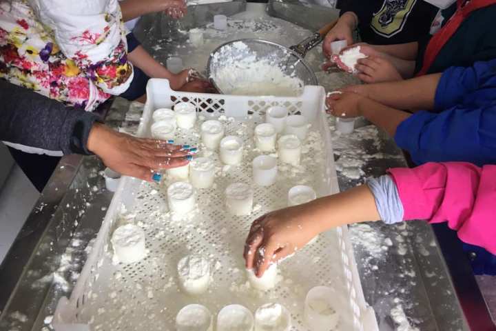 Hands-on cheese making experience after shepherd walk