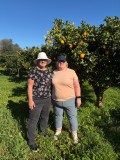 orange farm tour in Silves - Algarve