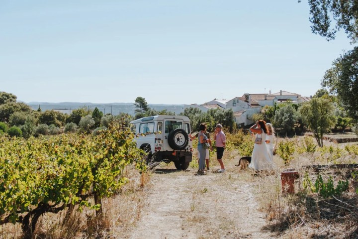 Vineyard jeep tour in Tomar Portugal