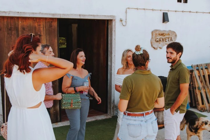 Cellar wine tasting with local products Portugal