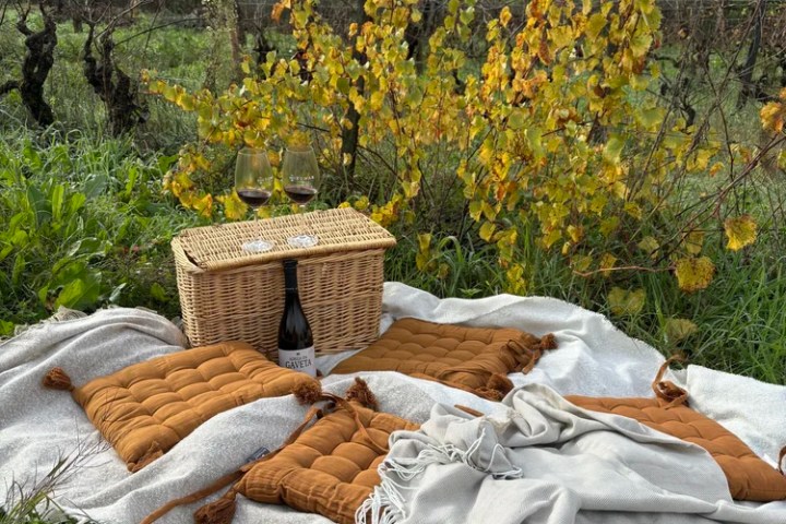 Romantic vineyard picnic with wine in Tomar Portugal