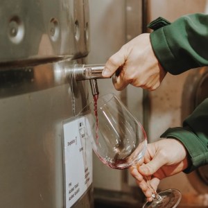 Wine tasting inside a traditional cellar in Tejo Portugal