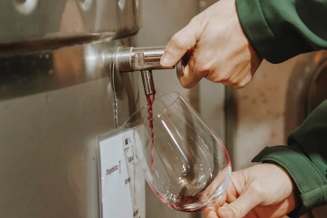 Wine tasting inside a traditional cellar in Tejo Portugal