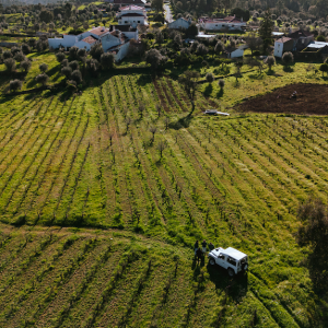Aerial view of a vineyard with a white car and people, near a village and forested hills.