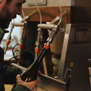 Learning about winemaking in a Portuguese cellar