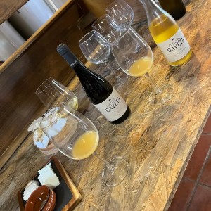 Tasting three wines in a Portuguese winery