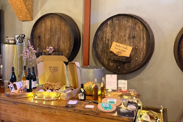 Tejo wine experience in a traditional Portuguese winery