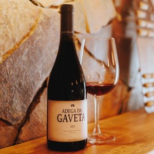 Tejo wine experience in a traditional Portuguese winery