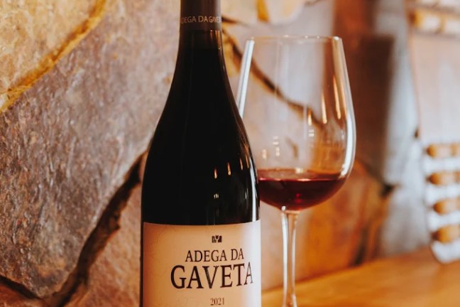 Tejo wine experience in a traditional Portuguese winery