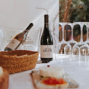 Tejo wine experience in a traditional Portuguese winery