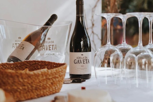 Tejo wine experience in a traditional Portuguese winery