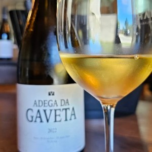 Tejo wine experience in a traditional Portuguese winery