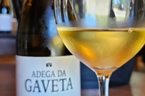 Tejo wine experience in a traditional Portuguese winery