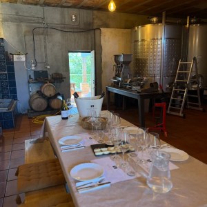 Small group wine tasting experience Portugal