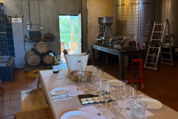 Small group wine tasting experience Portugal