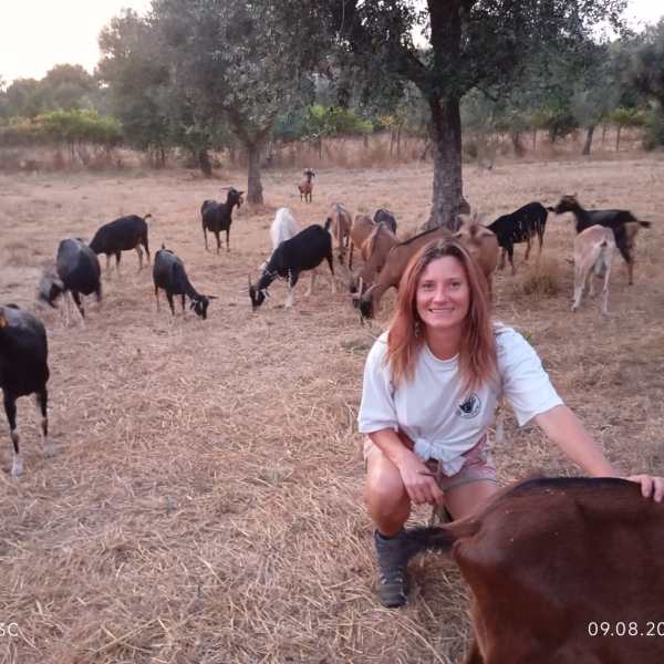 Goat farm experience in Central Portugal with goats in rural countryside