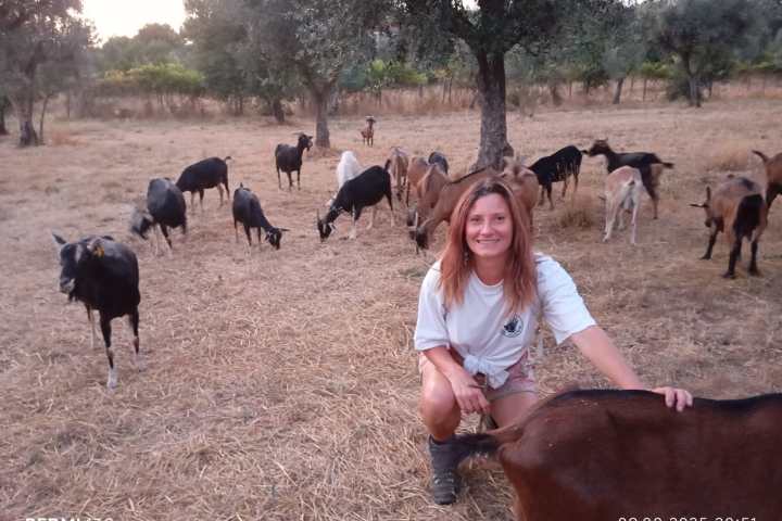 Goat farm experience in Central Portugal with goats in rural countryside
