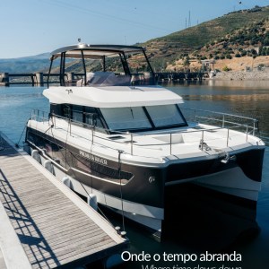 Douro River boat tour with vineyard views in Portugal