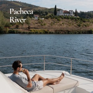 Douro Valley vineyards seen from river boat