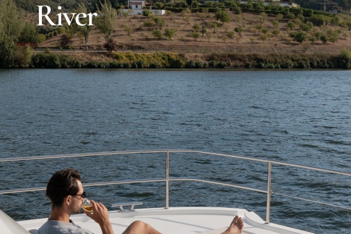 Douro Valley vineyards seen from river boat